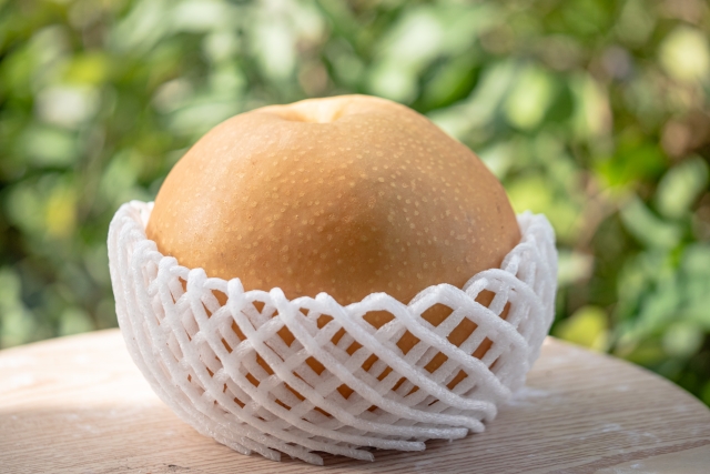 荒井果樹園　大きい梨