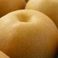 荒井果樹園　彩玉