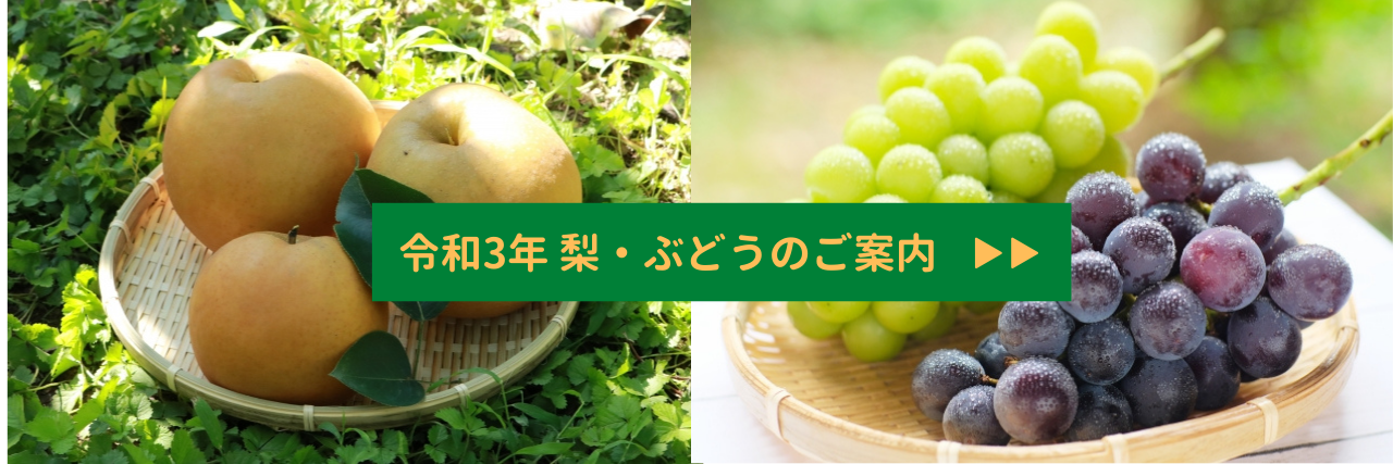 令和3年 梨。ぶどうご案内