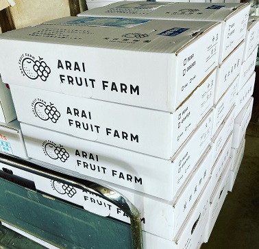 荒井果樹園　箱