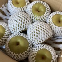 荒井果樹園　幸水